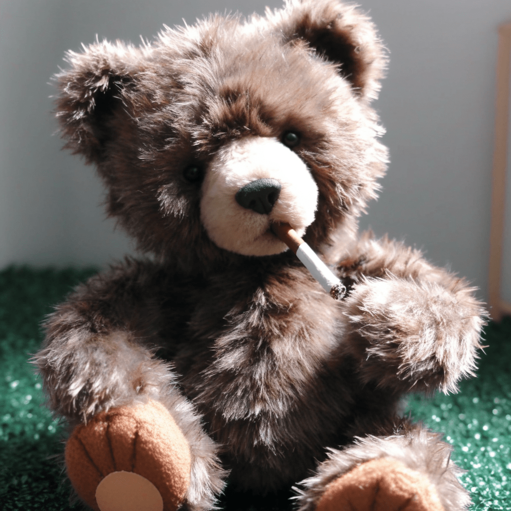 相机熊bear101 经典款